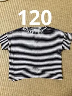 Item thumbnail for item 833ae2ee-a41e-43e2-90c7-3b071e6cf92d