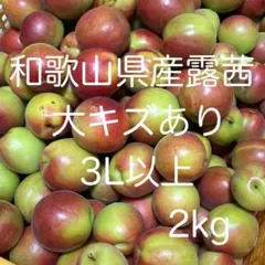 露茜 大きさ不揃い 4.5kg 和歌山県産 梅酒 シロップ ジャム - メルカリ