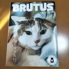 BRUTUS 2024年10/15号 #1017 猫になりたい。