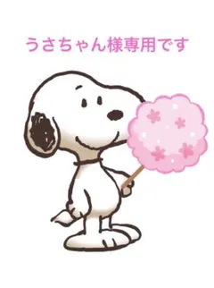 うさちゃん様専用です