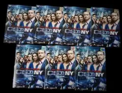 海外TVドラマ CSI:NY DVD シーズン1～ファイナル 完結 レンタル - メルカリ