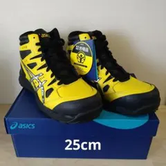 Item thumbnail for item 9fa635ec-9a3a-47db-a1d6-e5fffc420f18