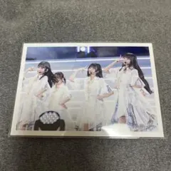 乃木坂46 真夏の全国ツアー2024 セレクト生写真