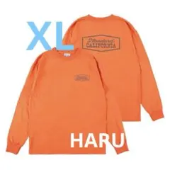 SD Heavyweight Stadium Logo 長袖　XLのサムネイル