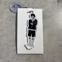 nexz onebite ランダムミニアクスタチャーム ソゴン トレカ