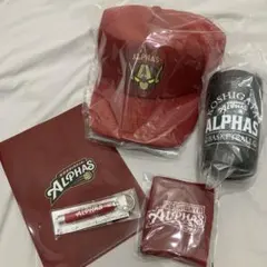 【新品未使用】越谷アルファーズ　グッズ5点セット