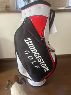 2026年最新】BRIDGESTONE GOLF ゴルフバッグ・キャディバッグの人気