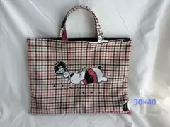 レッスンバック