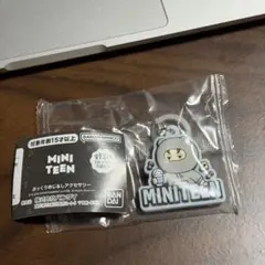 SEVENTEEN ミニティーン　めじるしアクセサリー