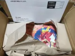 ポケモンカードヒロシマ スペシャルBOX 広島 ピカチュウプロモ