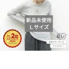 ダークエンジェル　シアー長袖Tシャツ アイスグレー Ｌサイズ