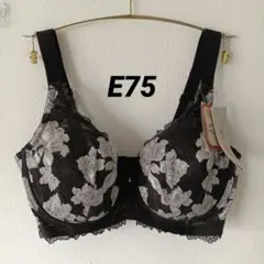 フルカップ　E75　黒　トリンプ　レッドレーベル フルカップブラジャー