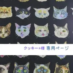 クッキー⭐︎様専用ページ