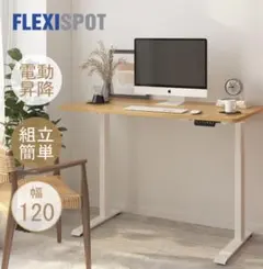 【専用】中古　FLEXISPOT 昇降式デスク　製図机 中古】その他 FLEXISPOT 昇降スタンディングデスク 昇降デスク