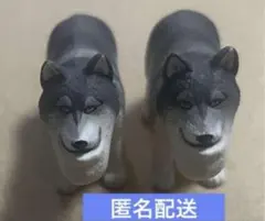 Item thumbnail for item 8246889b-88f0-44a2-b8ac-65a39ad46749