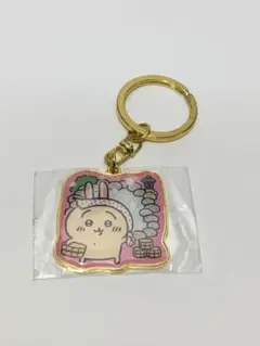 うさぎ　ご当地　キーホルダー　ちいかわ　温泉