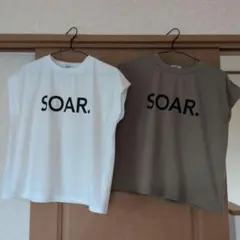 Item thumbnail for item a3e4fd8c-ccf6-46e6-b221-0408f6ea83db