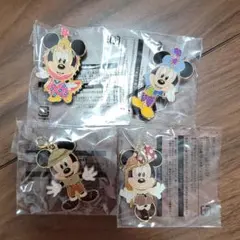 ディズニーリゾート　チャーム　ピンバッジ　周年　アブーズバザール