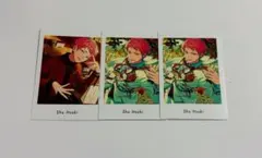 斎宮宗 ぱしゃっつ