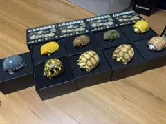 2026年最新】動物の惑星の人気アイテム - メルカリ