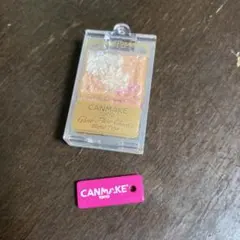 Item thumbnail for item c8a84197-ca30-454e-b899-436ca24a1d77