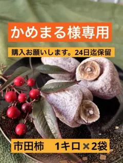 かめまる様専用 市田柿　干し柿　1キロ✖️2袋