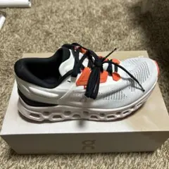 Item thumbnail for item e6033b83-af2e-4407-87c9-4e28ee8e53ef