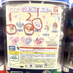 ぷちきゅあ めじるしアクセサリー　プリキュア　4つセット