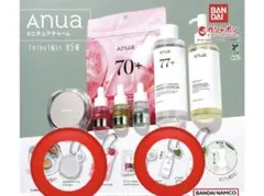 anuaアヌア ミニチュアチャーム