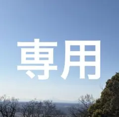 Ash.様 リクエスト 5点 まとめ商品