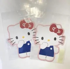 ポチ袋 ハローキティ 2枚 セット