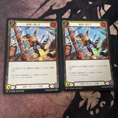 fab 船酔い知らず　2枚 rainbow foil