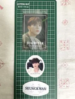 SEVENTEEN セブチ　スングァン　ステッカー　3枚セット