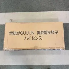 【新品未使用品】背筋がGUUUN 美姿勢座椅子 ハイセンス ロイヤルゴブラン