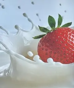 ᴗ ̫ ᴗ 様専用