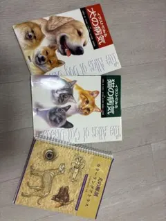 2026年最新】犬と猫のアレルギー診療―セオリーは臨床で活かせる!の人気