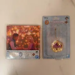 ディズニー　ラプンツェル　グッズ　まとめ売り　セット売り　キャンパスボード