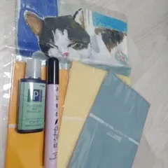メガネケア用品セット プラクリーン 曇り止め クロス