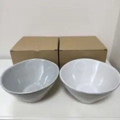 コスタノバ ボウル 丼もの ラーメン うどん おしゃれ 食器 新品未使用のサムネイル