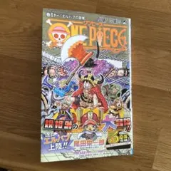 【タケヒロ様専用】ONE PIECE 111