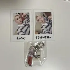 SEVENTEEN HOLIDAY インスタントフォト カプセルトイ ホシ