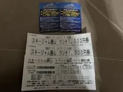 スキージャム勝山1日リフト券