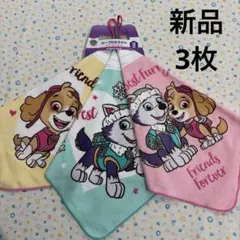 3枚組、新品☆パウパトロール、スカイ、エベレスト☆ループ付きタオル、綿100%