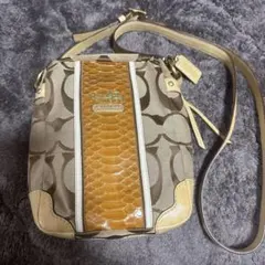 COACH ショルダーバッグ パイソン柄
