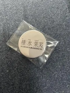 ポルノグラフィティ「果実」オリジナル缶バッジ