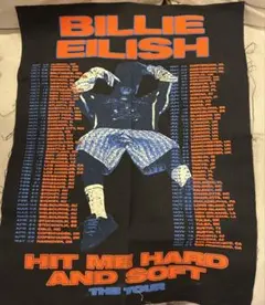 完売品】Billie Eilish 2025年ツアーポスター リサイクル布製 - メルカリ