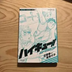 ハイキュー ショーセツバン 青葉城西