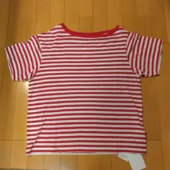 Item thumbnail for item ab030190-5b03-4f43-a184-5c13e0f604ba