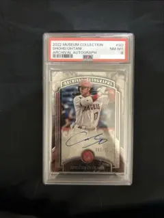 Item thumbnail for item e0ee56fc-339f-4c94-87ab-ef8e8b95870f