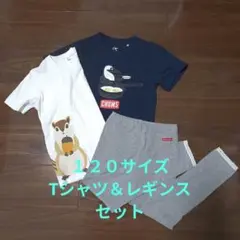 120サイズ　Tシャツ（CHUMS、無印）＆レギンス（MouJonJon)セット